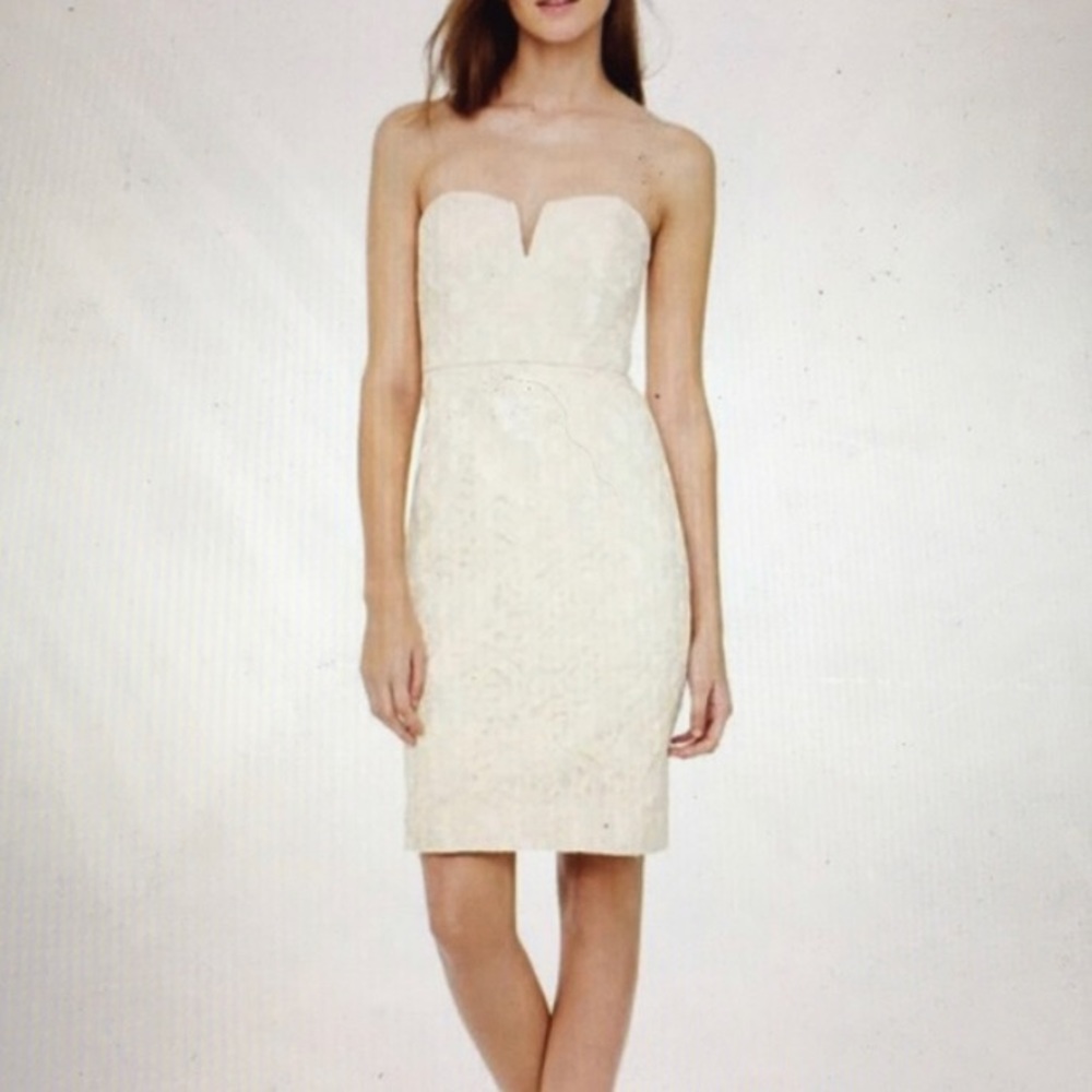 JCrew Cathleen Leavers Lace Dress in Champagne, 4